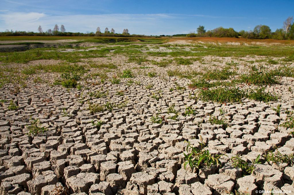 Climate Change Impacts Revolution