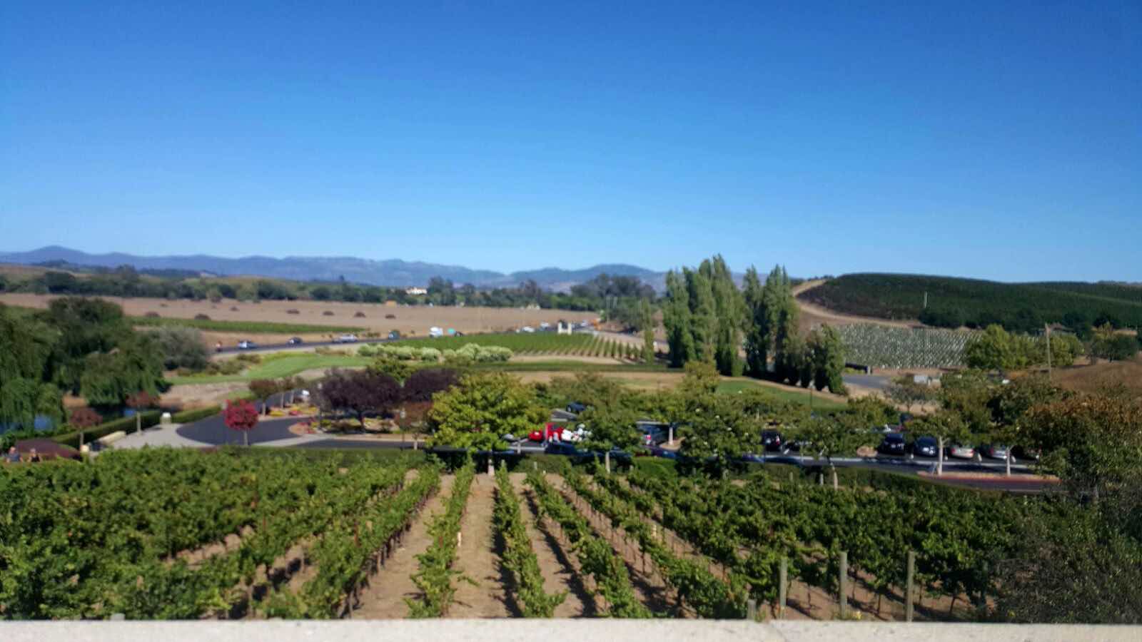 Taking Lyft / Uber San Francisco, Napa Valley and Back