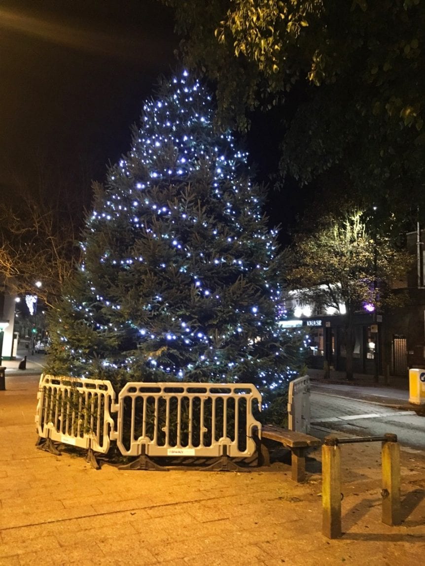 Sticks and stones... but words? The Rex Berkhamsted