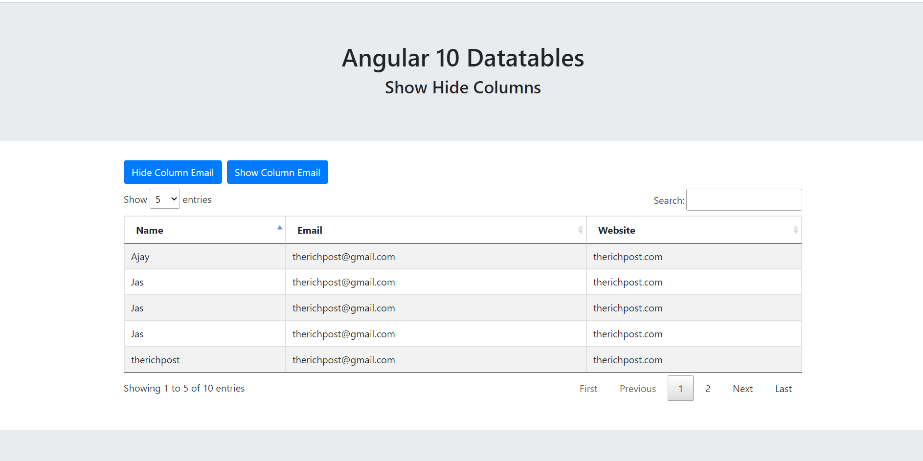 Angular 10 Datatable Show Hide Column Working Demo With Source Code Images