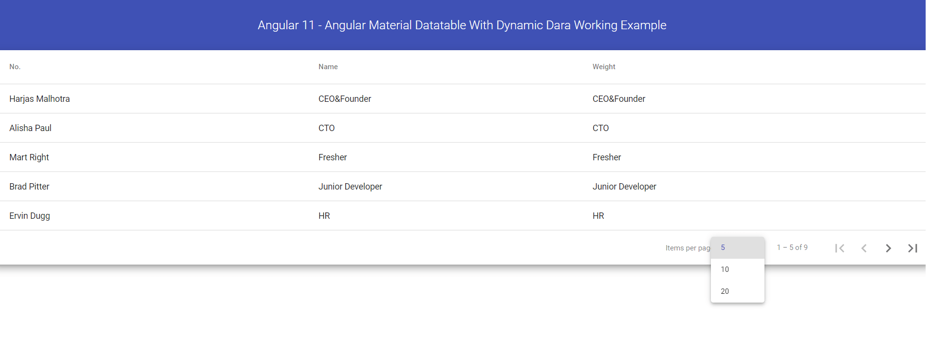 Angular 13 Datatable with Dynamic Data Working Example Therichpost