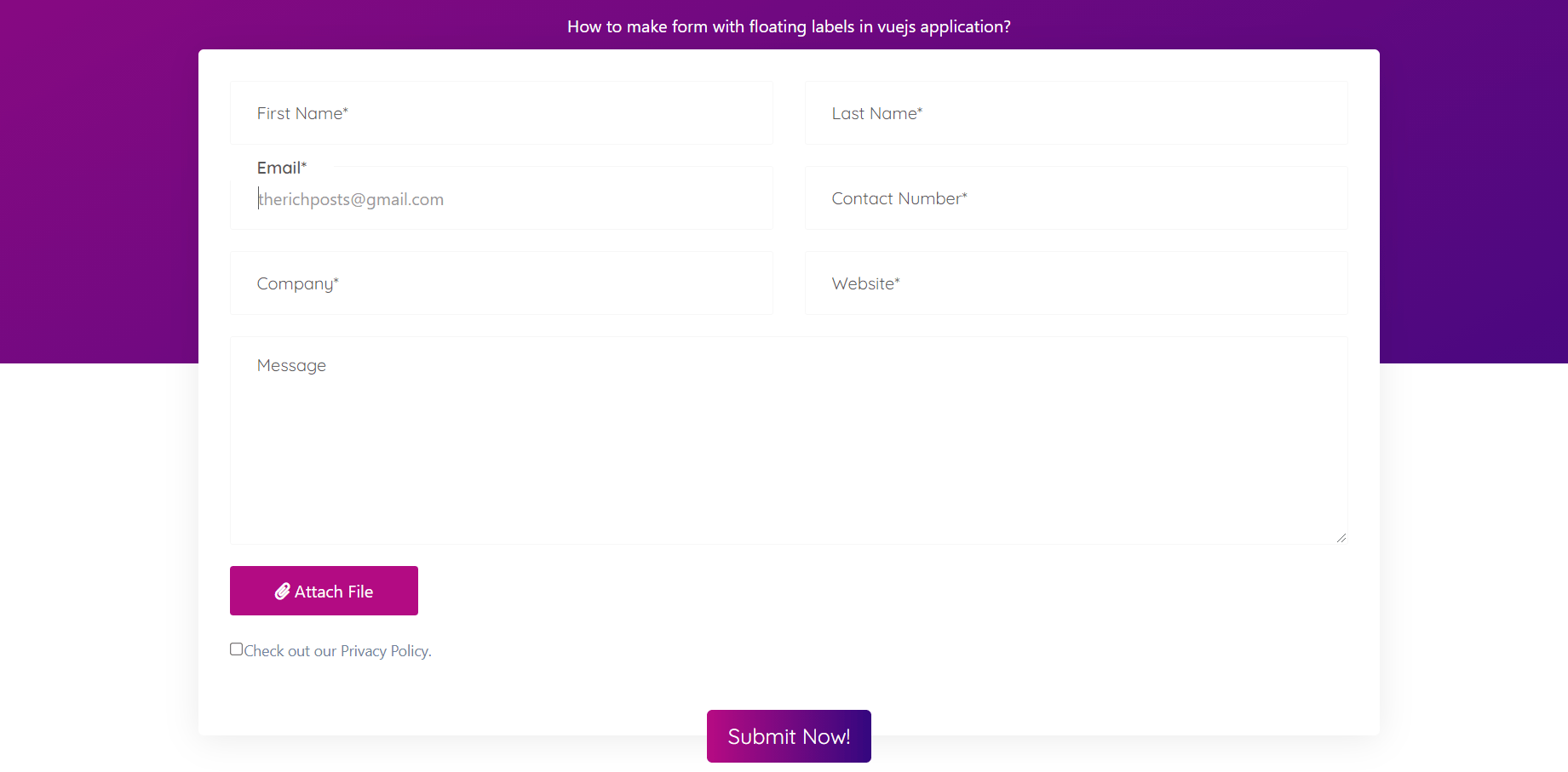 Vue 3 User Form with Floating Label Therichpost