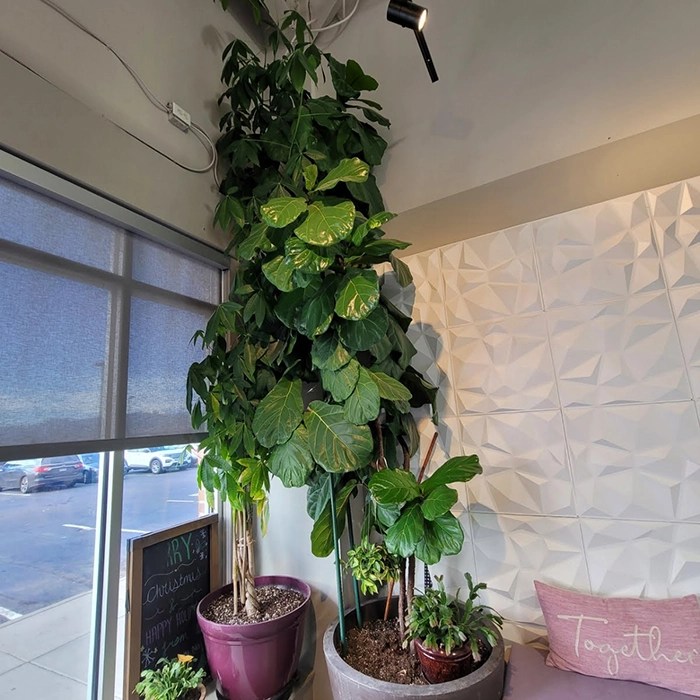 Gallery Ridgeline Nails of Colorado Springs, CO 80921