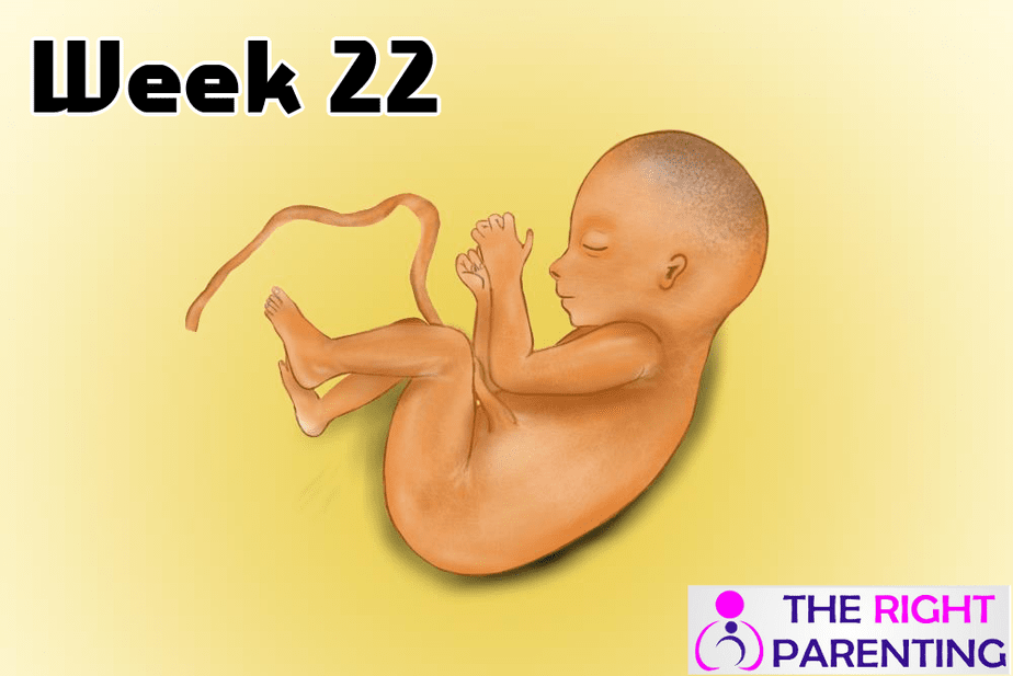 Pregnancy Symptoms Week 22 Week By Week Pregnancy