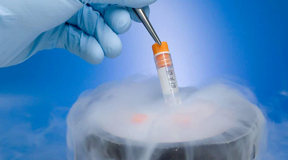 Fluoramics works to prevent cryogenic leaks and corrosion Thermal Processing Magazine