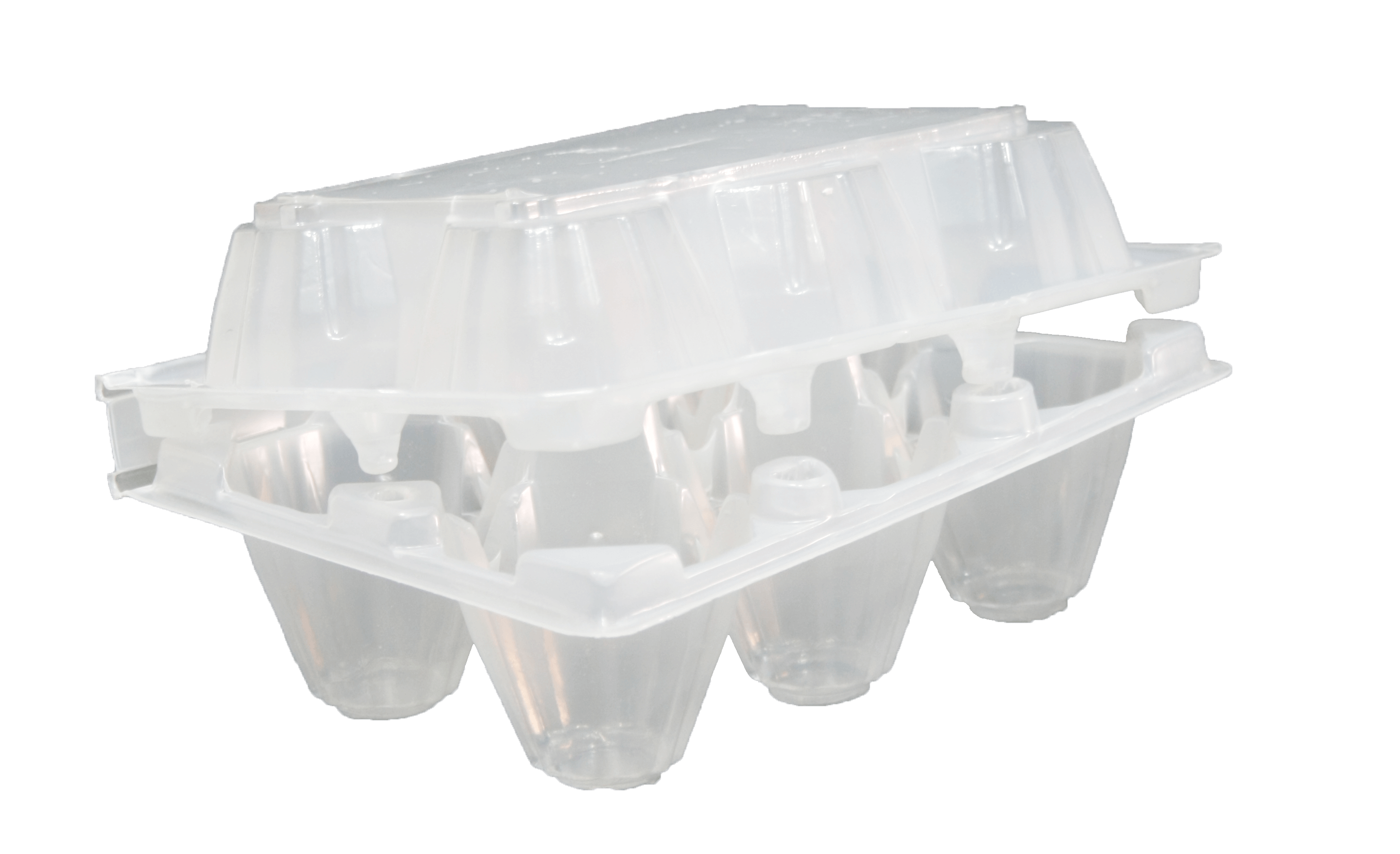 6 PACK EGG TRAY Thermopak Limited