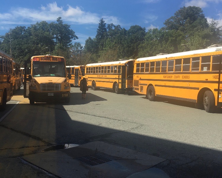 The cost of the late bus The Tide