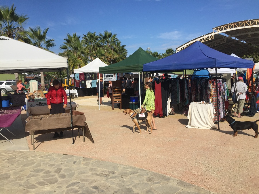 Los Barriles The Road In Between