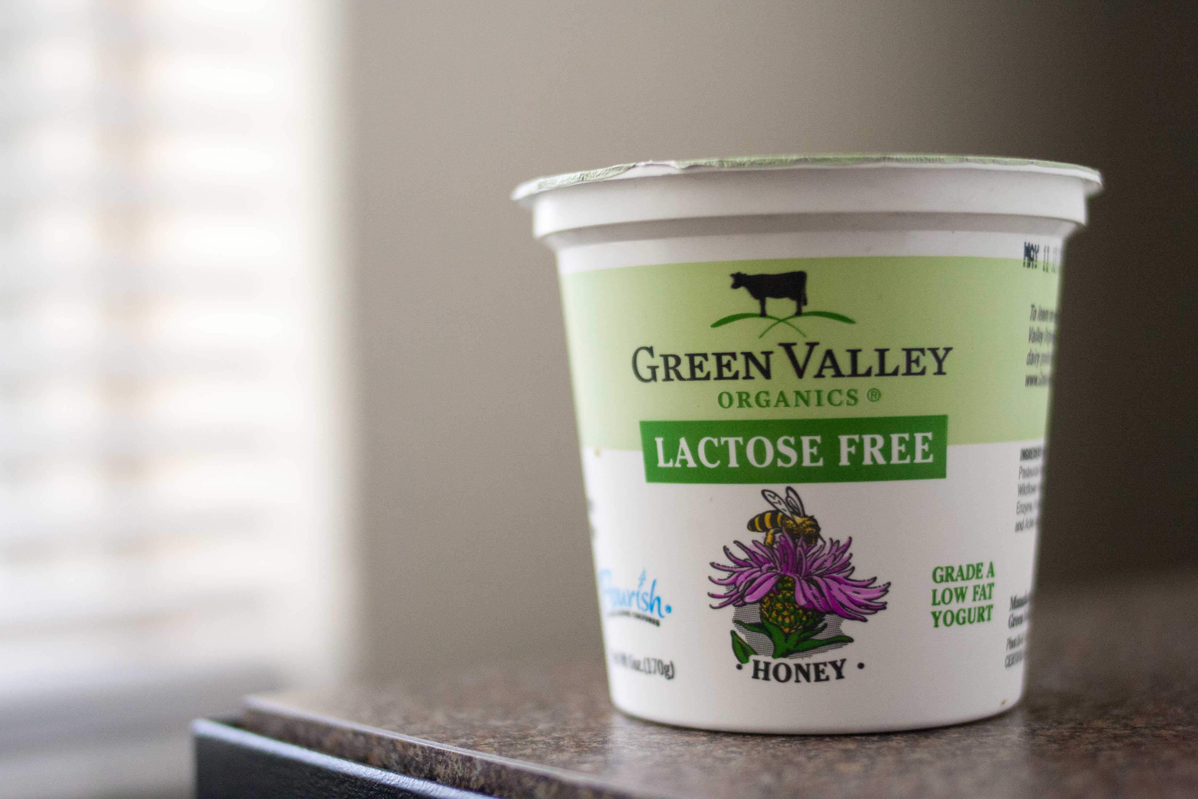 Dairy Free Greek Yogurt Uk at Benjamin Glenn blog