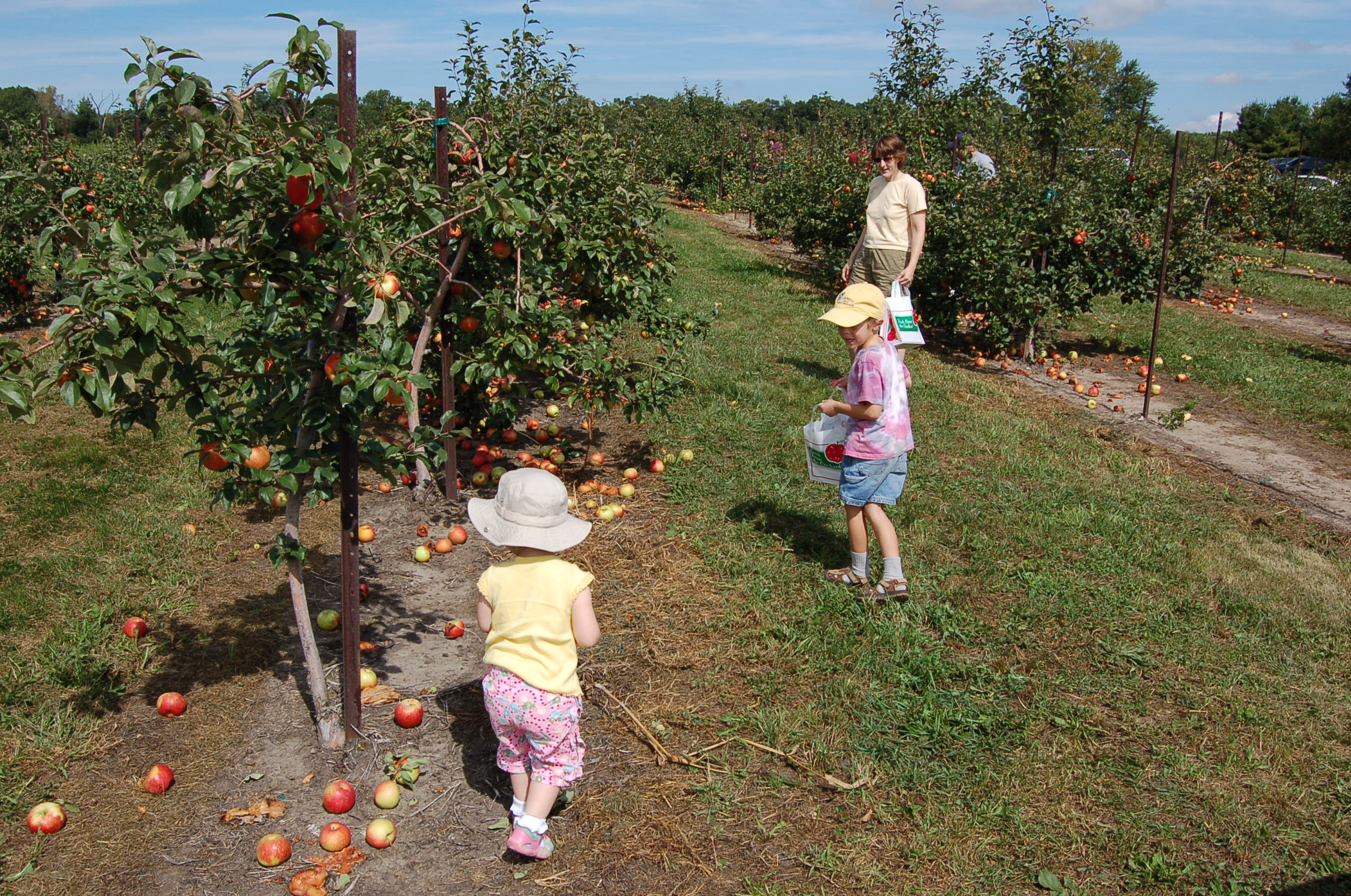 TheRoadScholar Just another weblog