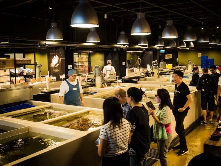 Inside Taipei Fish Market the Incredible Addiction Aquatic