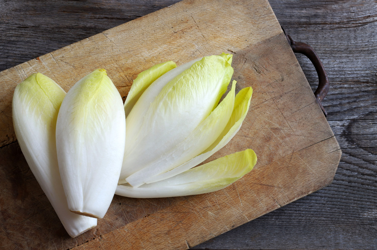 The Best Substitute for Napa Cabbage 10 Alternatives The Roaming Fork