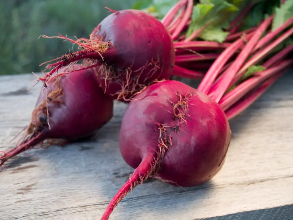 10 Best Substitutes for Carrots in Recipes The Roaming Fork