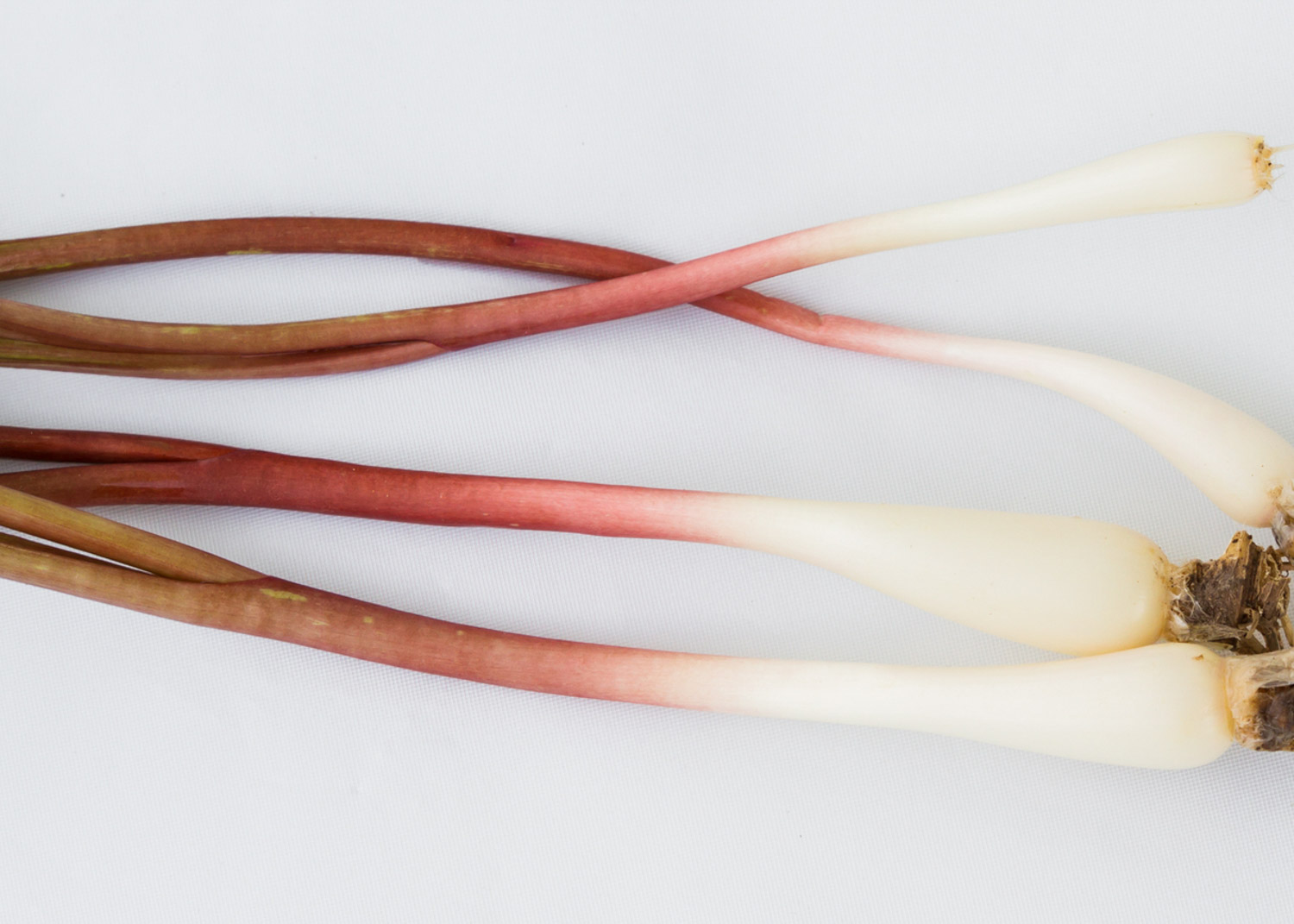 The Best Spring Onion Substitute 7 Alternatives The Roaming Fork