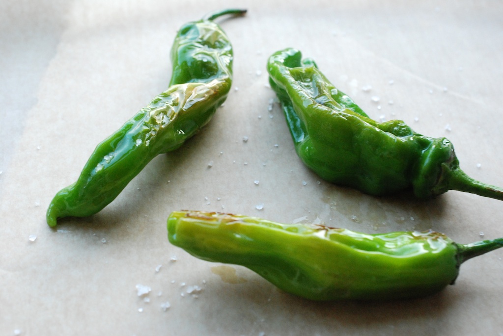 PanFried Shishito Peppers The Roaming Kitchen