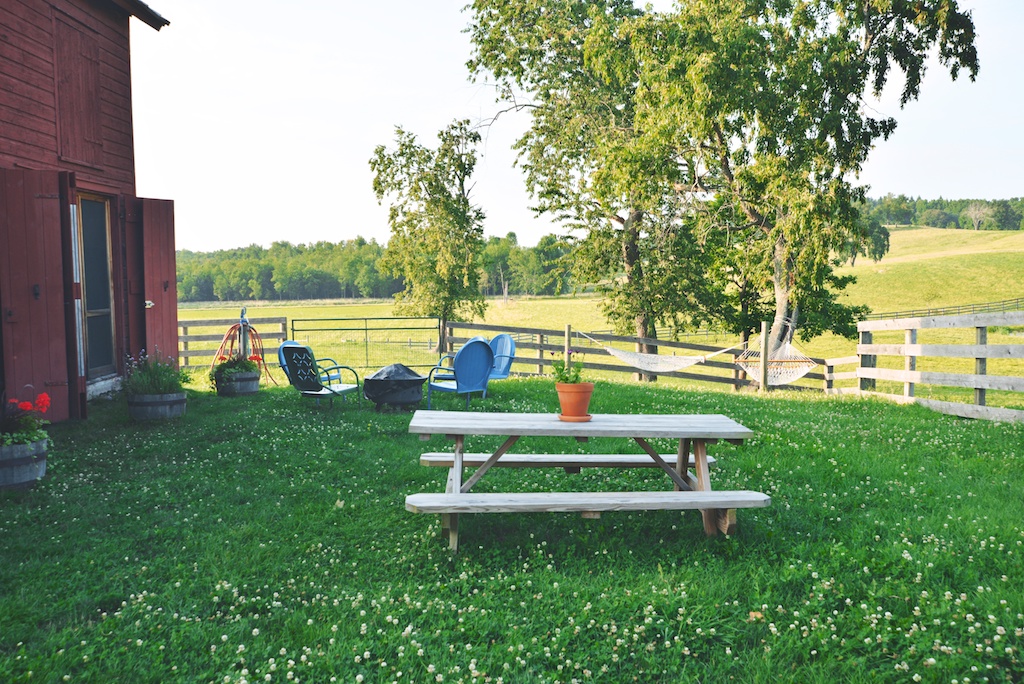 Arugula Pistou + Kinderhook Farm The Roaming Kitchen