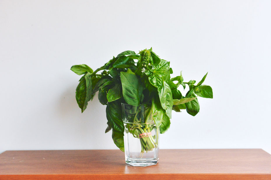 LimeGrapefruitBasil Gin Punch The Roaming Kitchen