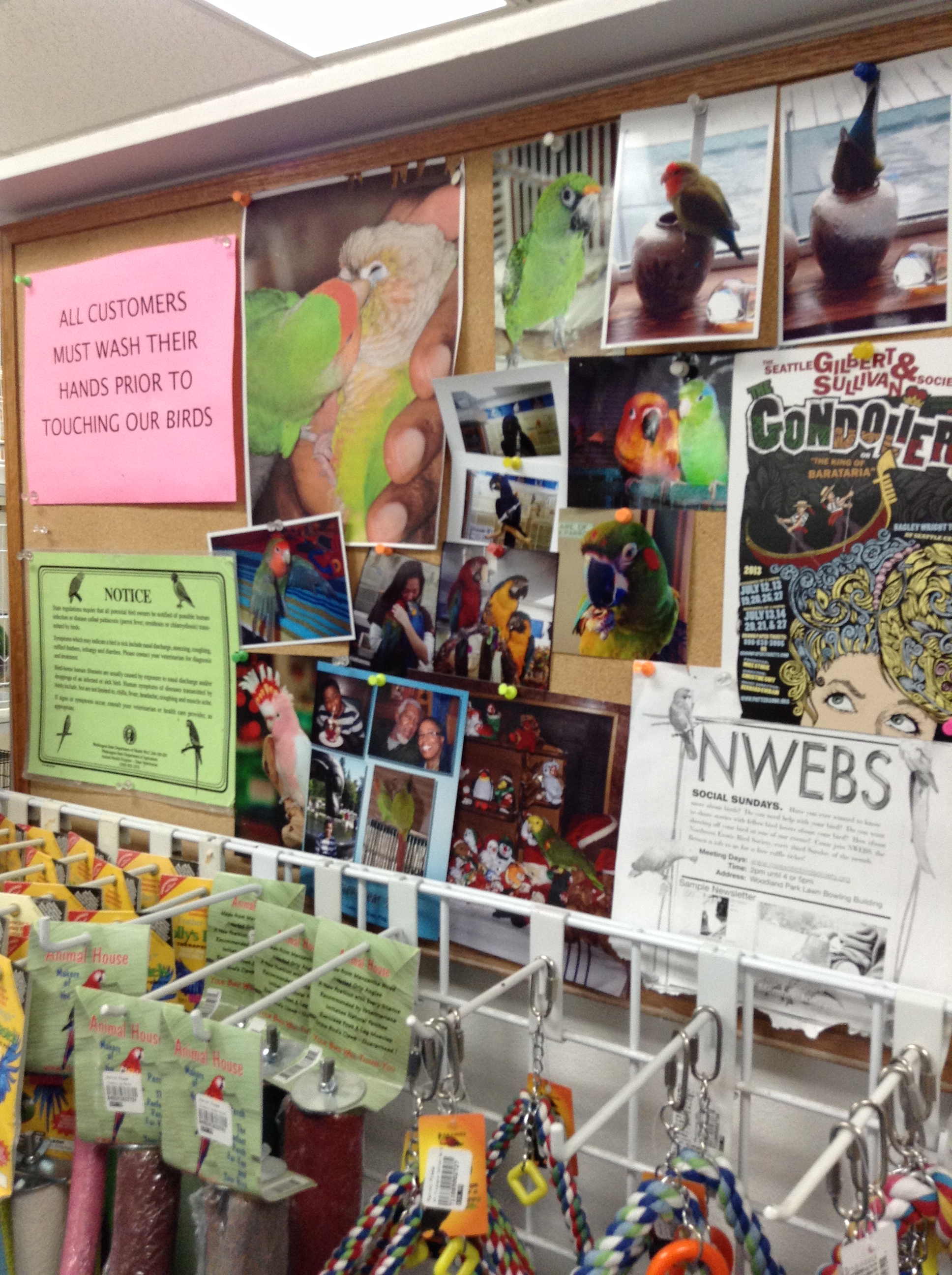 The Roaming Parrot » Denise’s Parrot Place