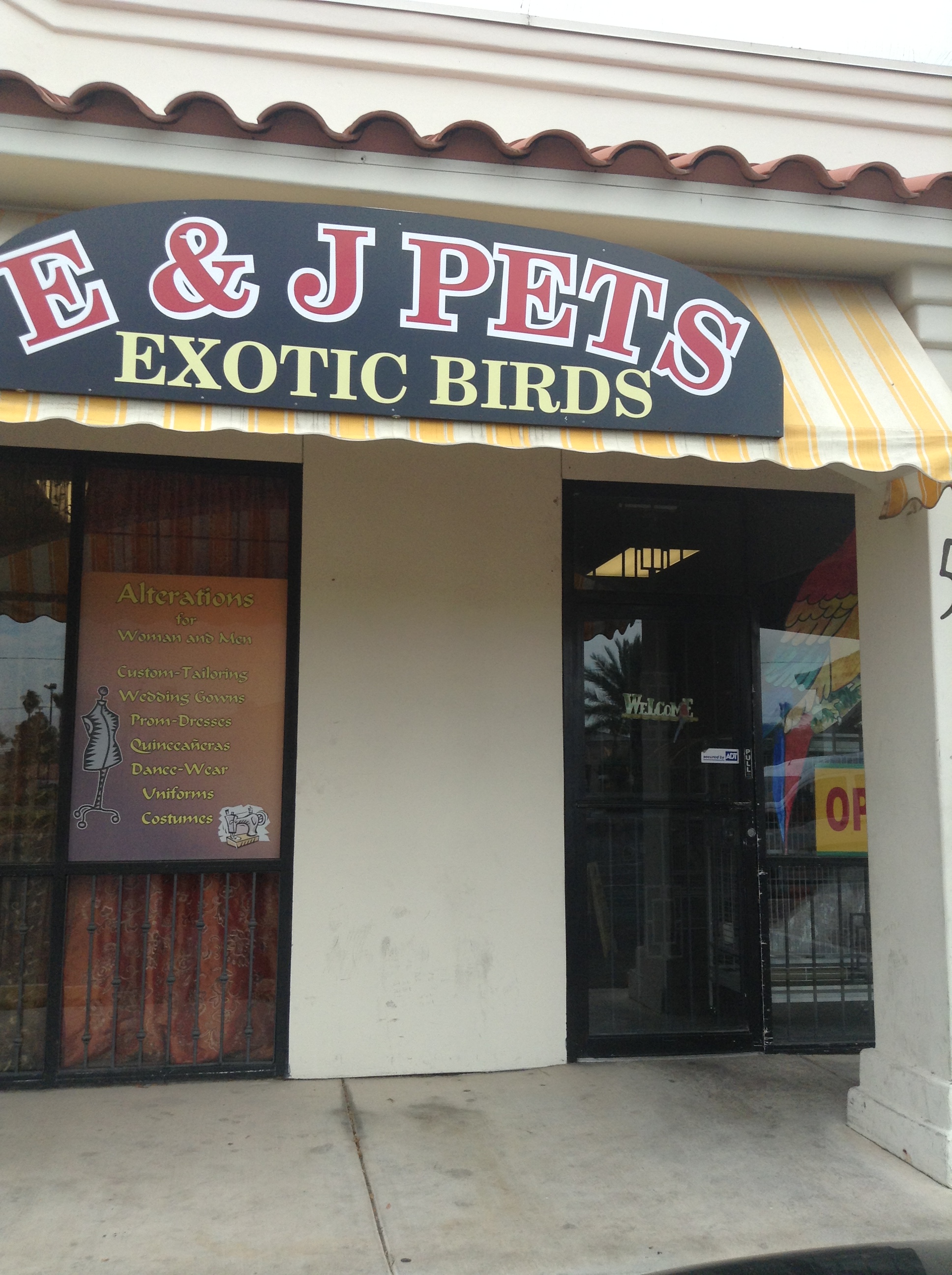 Exotic Pet Store Las Vegas / Pet Exotic Buy Exotic Pets