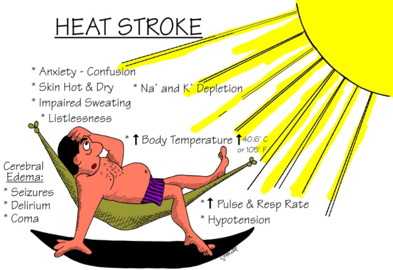 Neurological impairment or cognitive dysfunction after babies or young