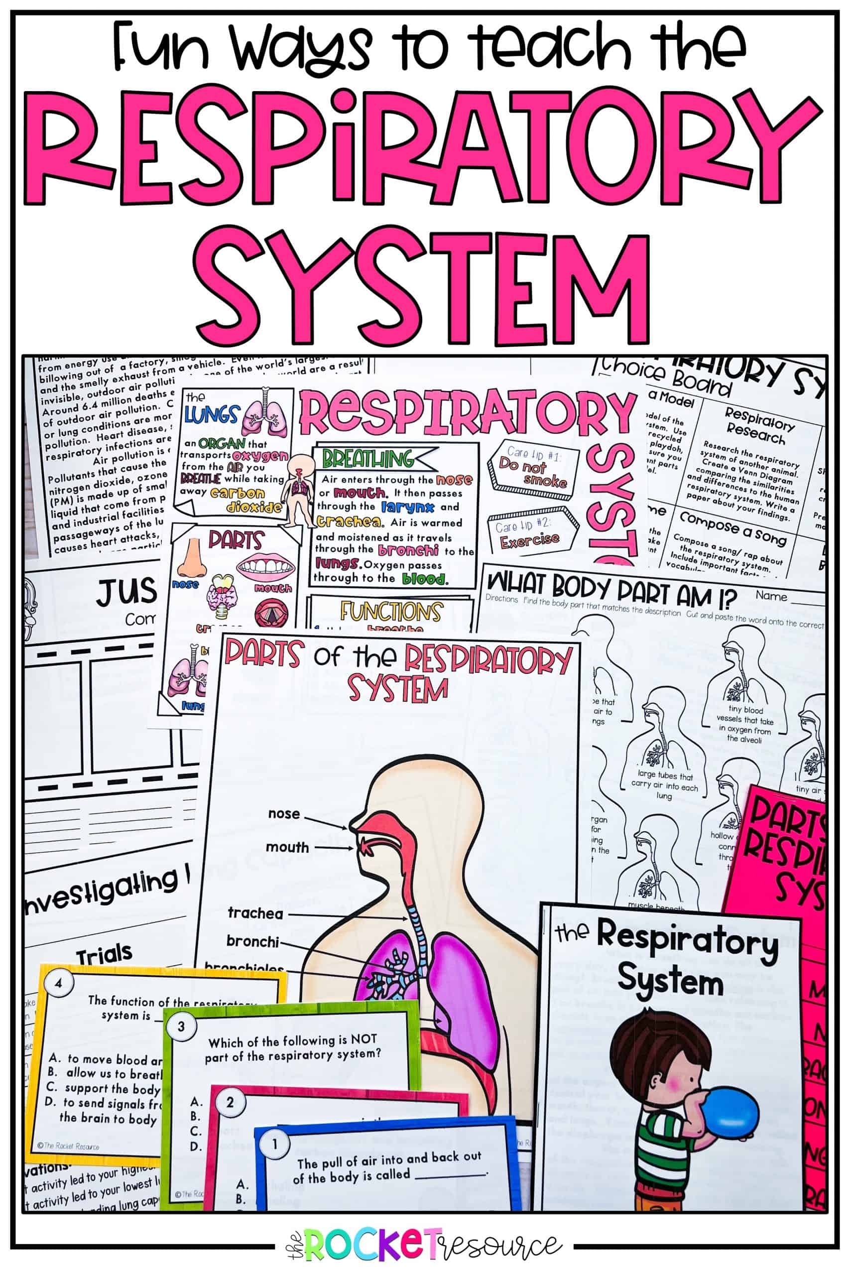 Classroom Activities for the Respiratory System The Rocket Resource