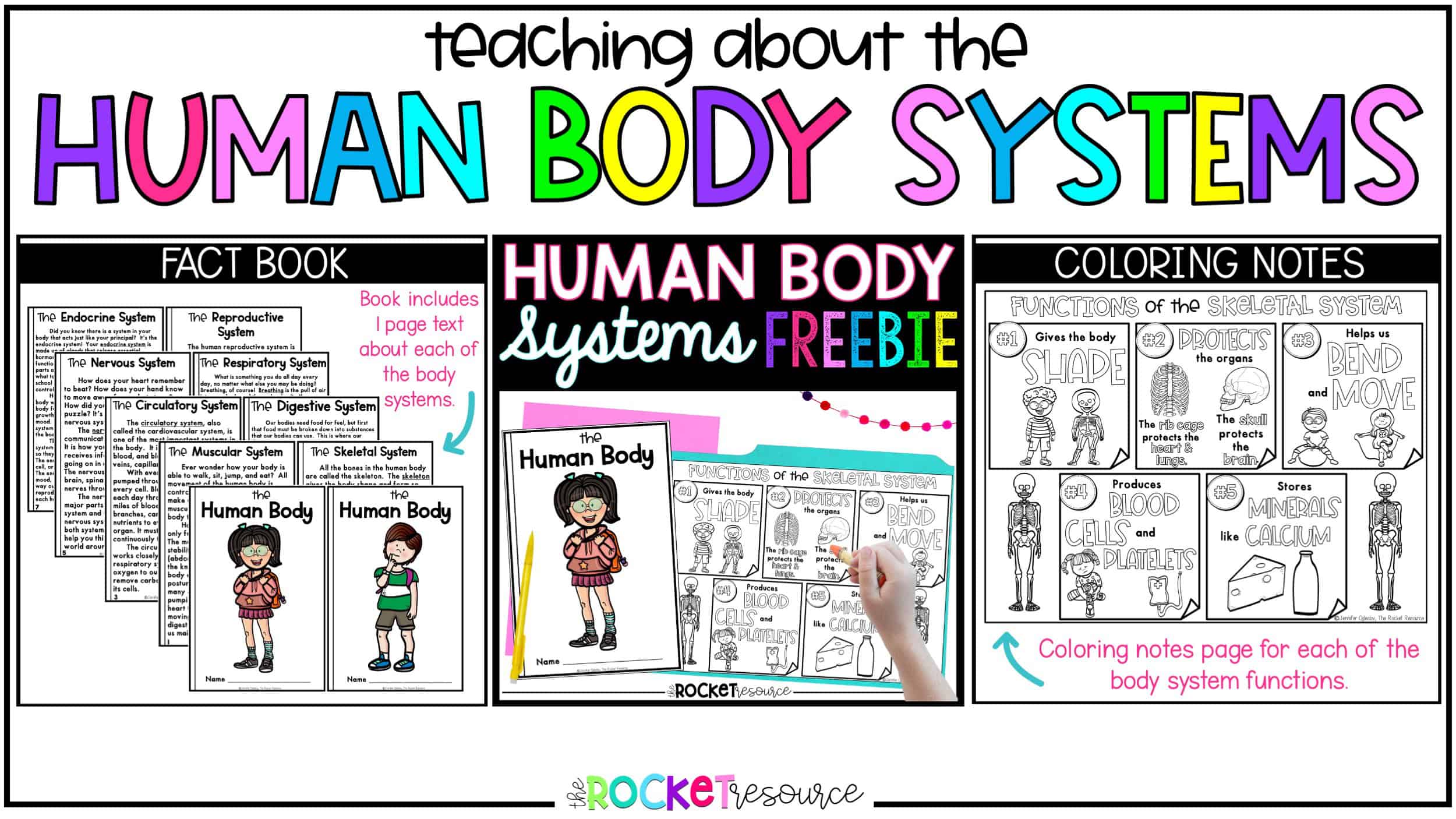 Teaching Human Body Systems Elementary The Rocket Resource