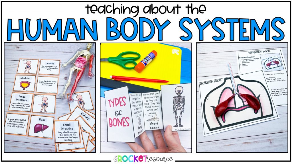 Teaching Human Body Systems Elementary The Rocket Resource