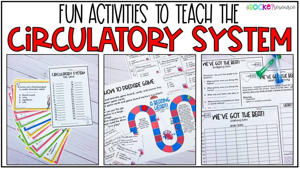 Fun Circulatory System Activities The Rocket Resource