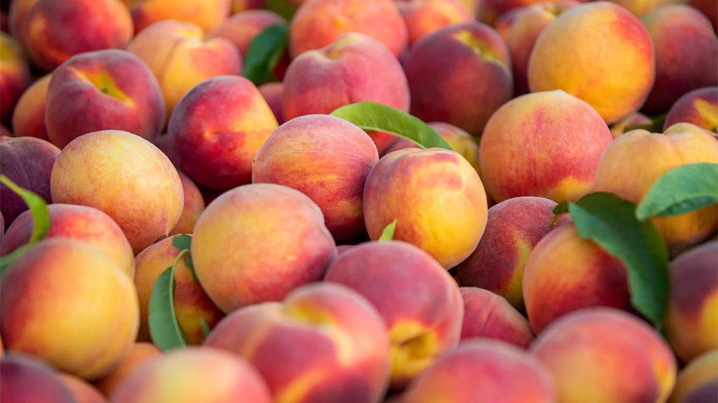 TreeRipe Fruit Hits the Road to Bring Peaches to Families