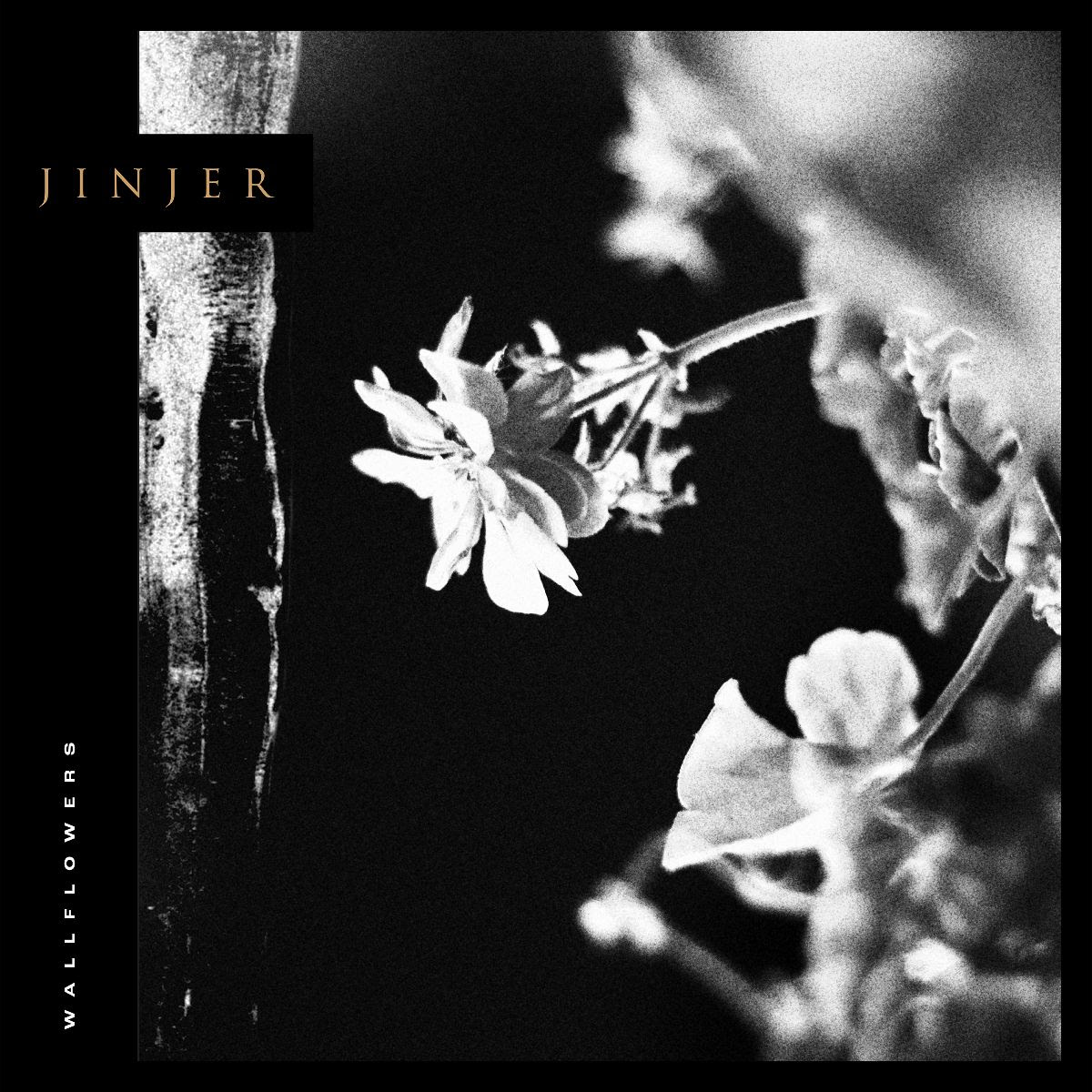 Album Review! Jinjer Wallflowers THE ROCK FIX