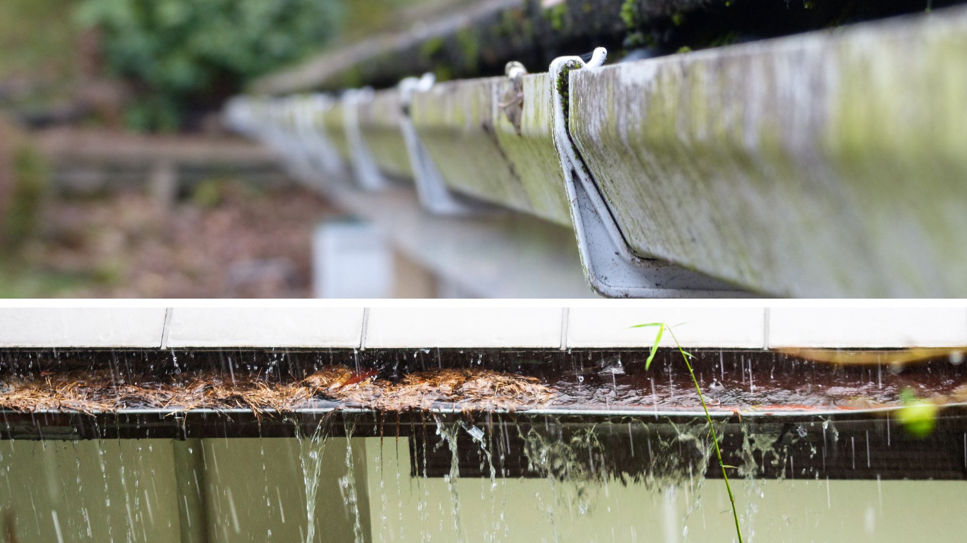 5 Signs You Need Gutter Replacement Rochester NY