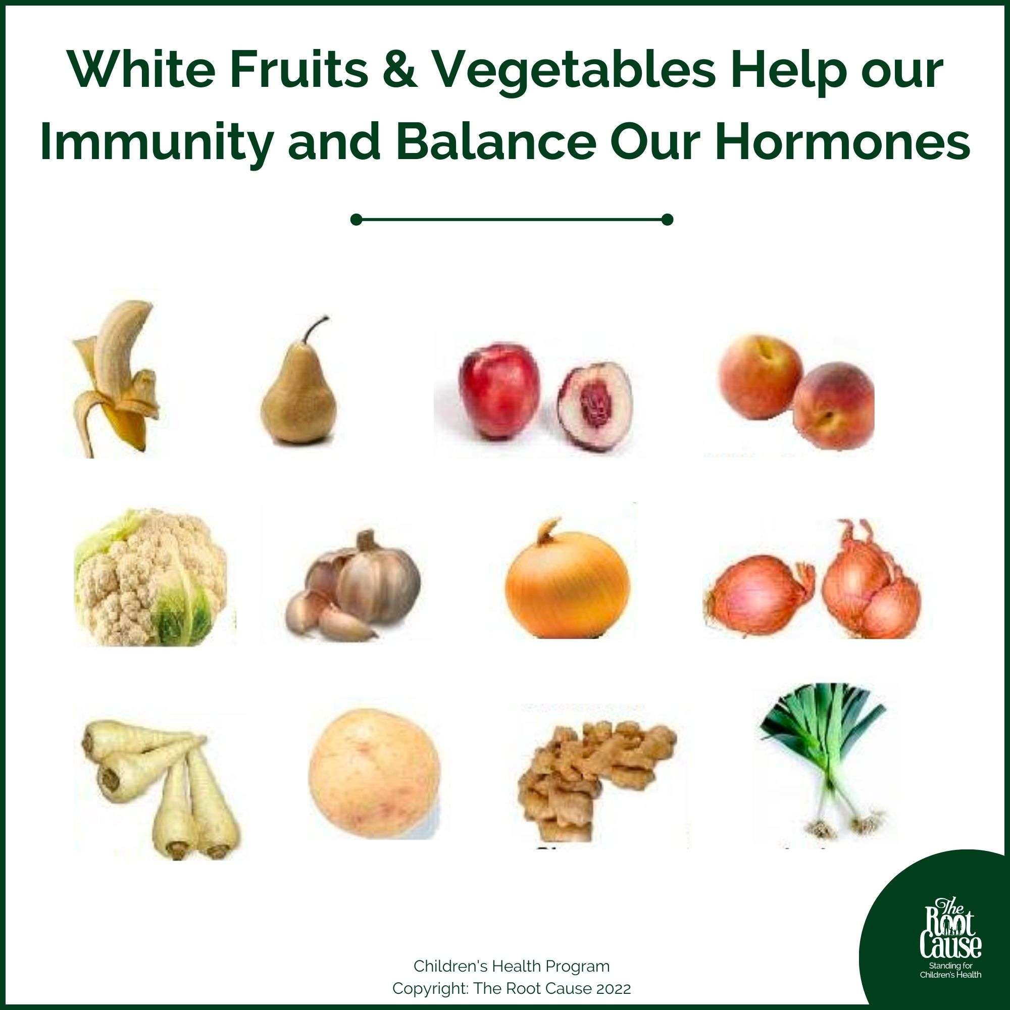 White Food Recipes The Root Cause