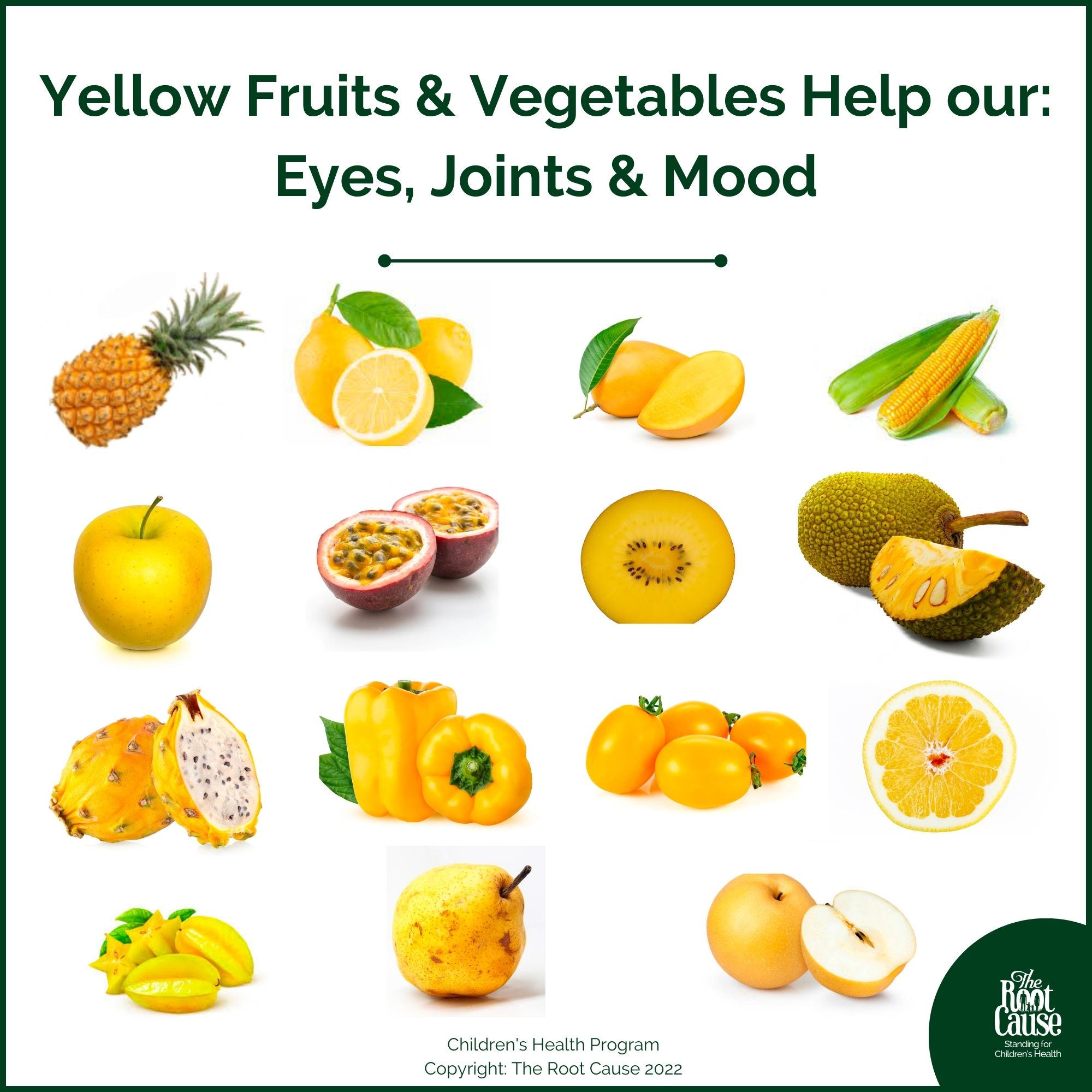 Empowering Children to Make Better Food Choices The Root Cause