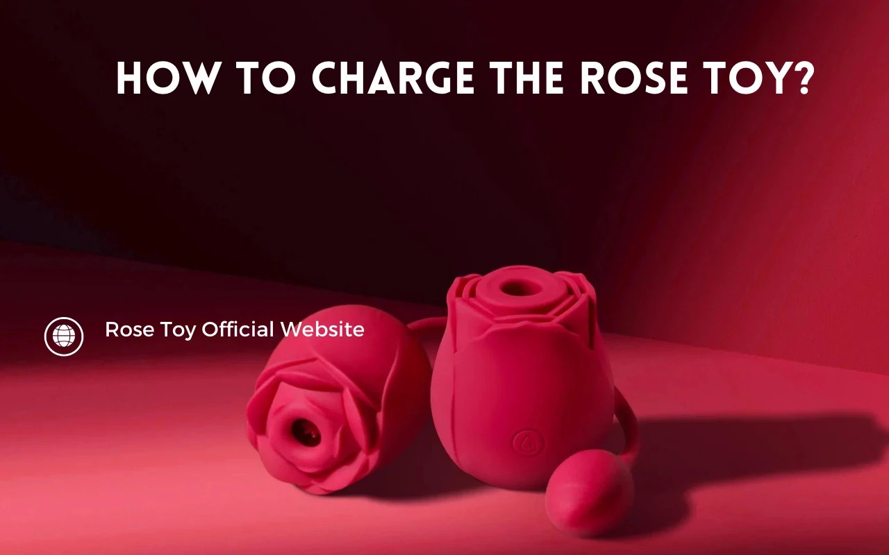 How to Charge The Rose Toy? Rose Toy Official site