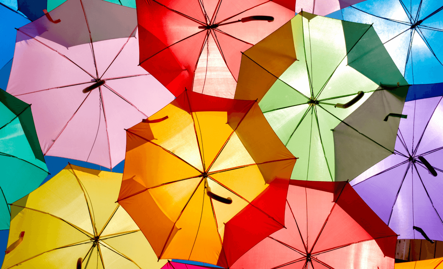 Commercial Umbrella Insurance in Roundtable Insurance