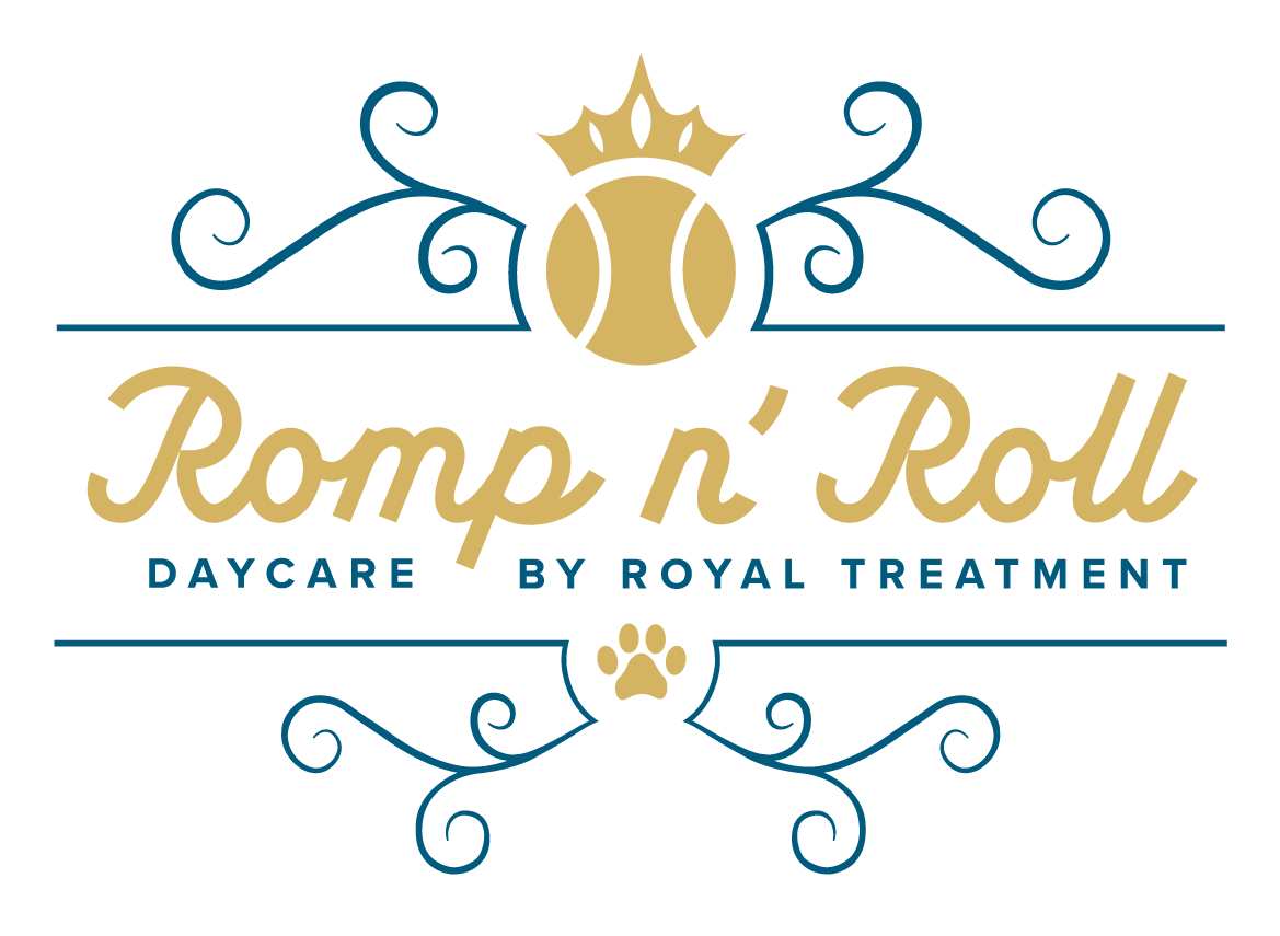 Dog Daycare in Baton Rouge Romp n’ Roll with the Royal Treatment
