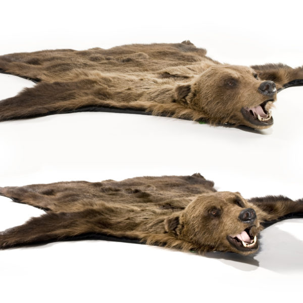 Wolf Pelts Double R Ranch