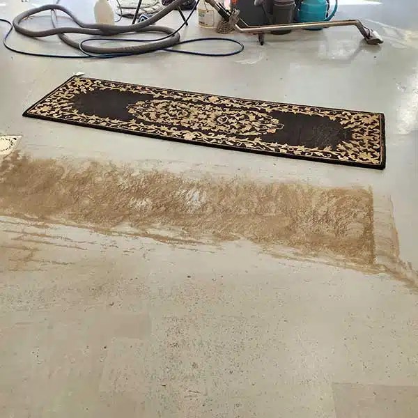 Area Rug Cleaning Blakely PA Bill Mountain Thorough Clean