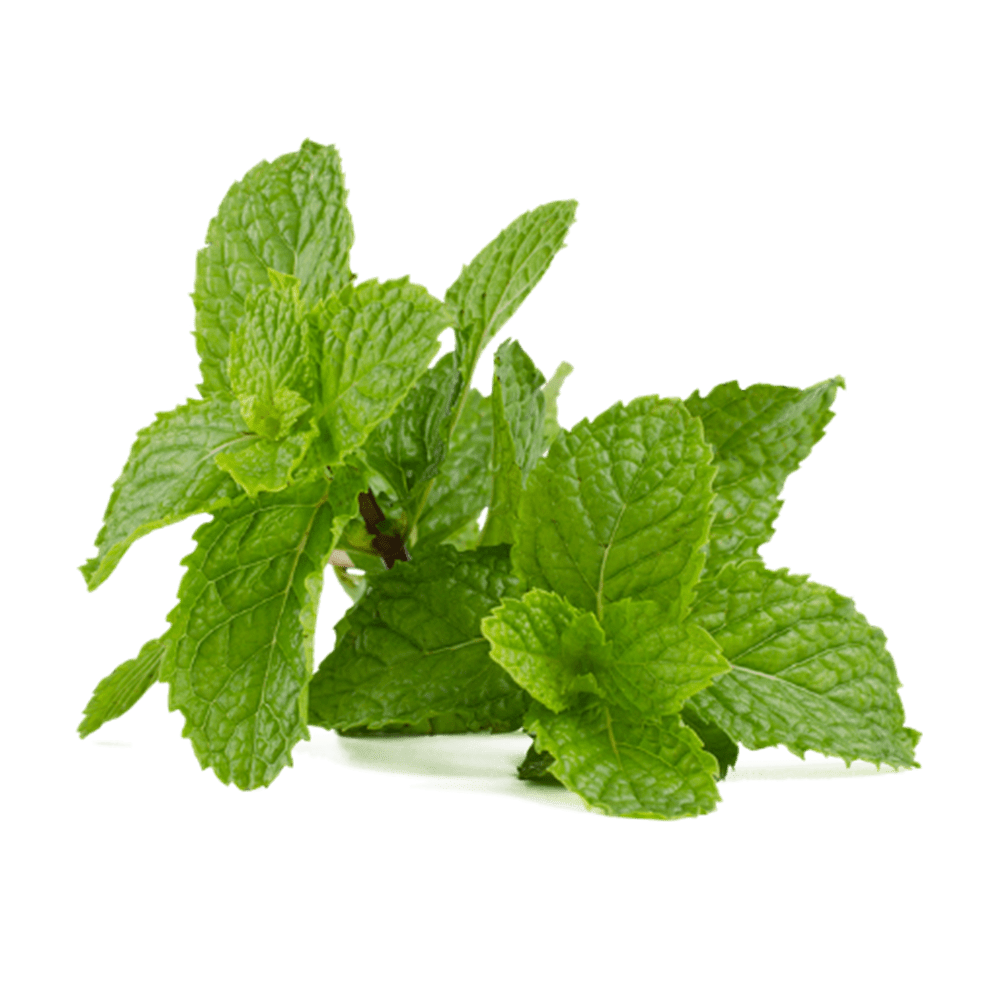 DIY Room Spray Recipe (Rosemary Mint) THE RUHMAGE