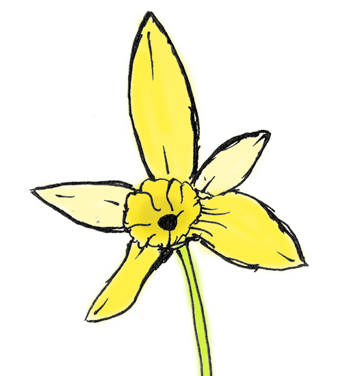 Rumpus Original Fiction Curious The Rumpus