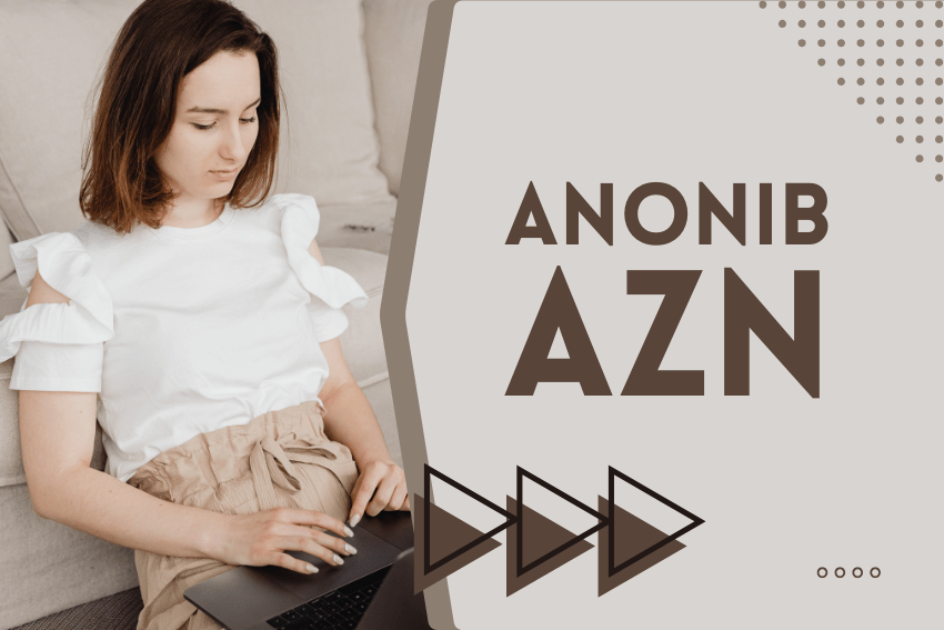 Anonib AZN The Rise and Risks of Anonymous Image Boards The Run Time