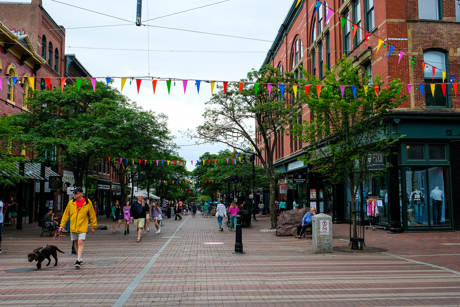 Campground Review! North Beach Campground Burlington, VT The RV Atlas
