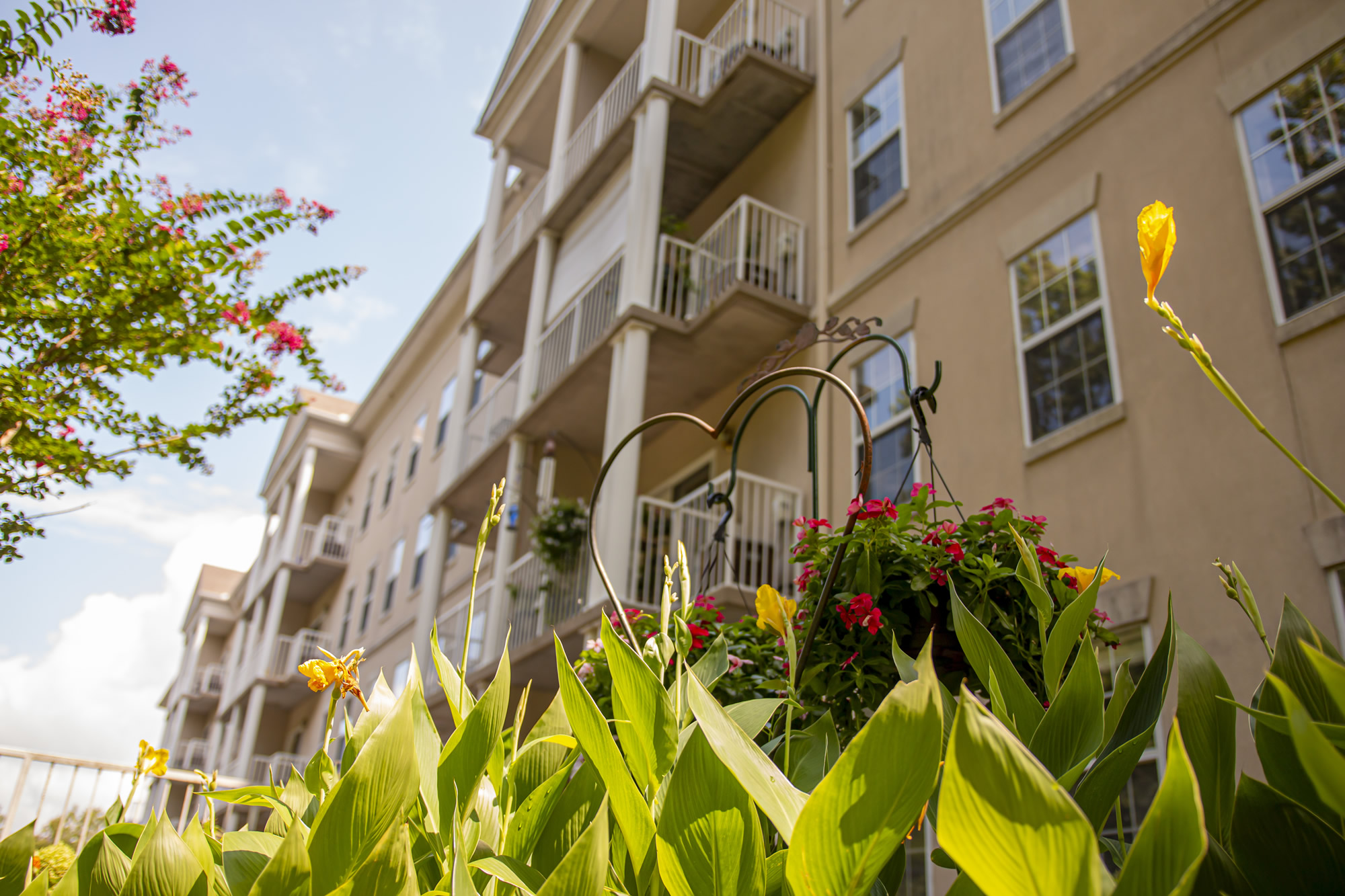 Home The Saint Paul Senior Living Community