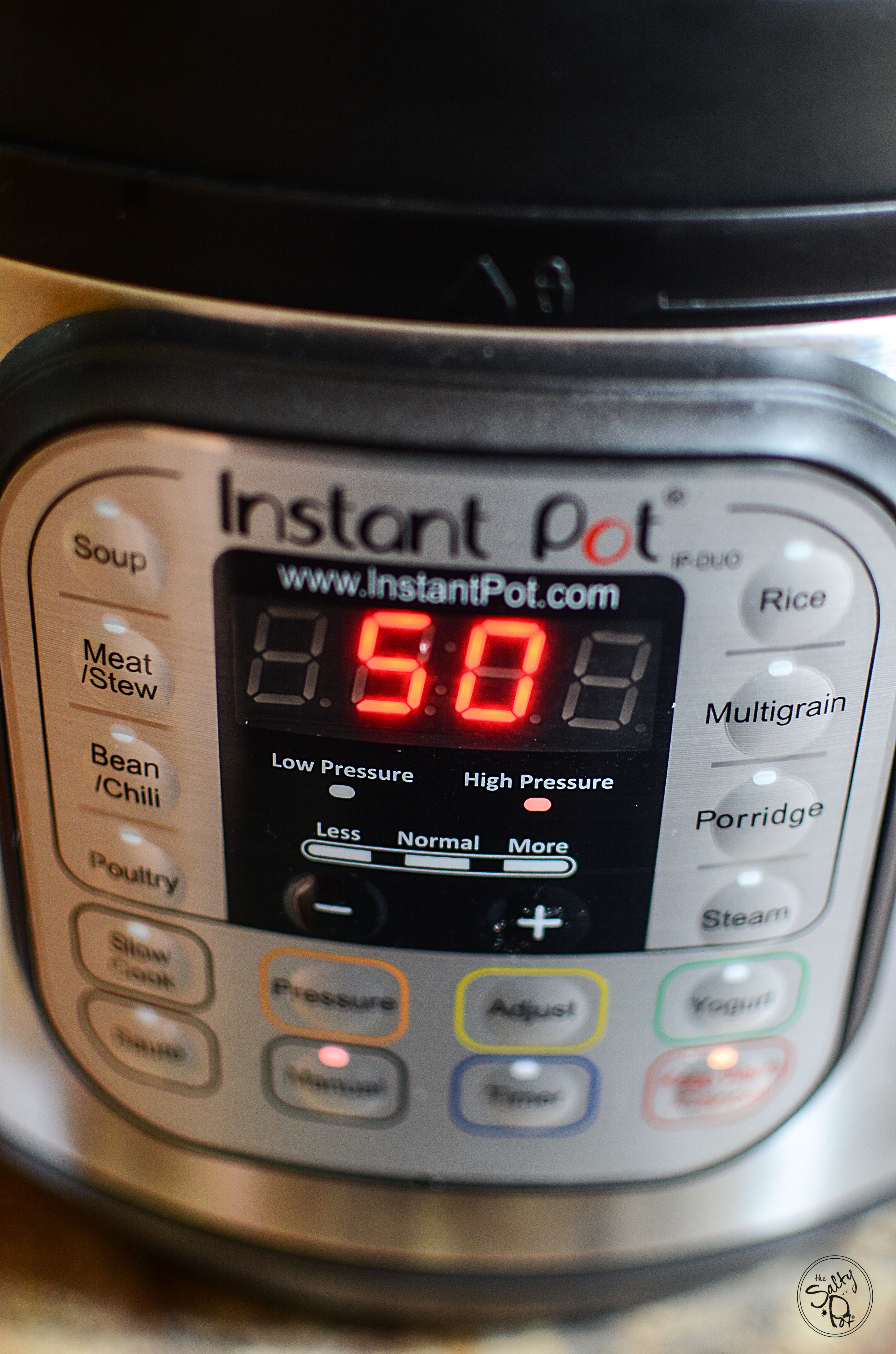 Instant Pot Basic Pulled Pork03 The Salty Pot