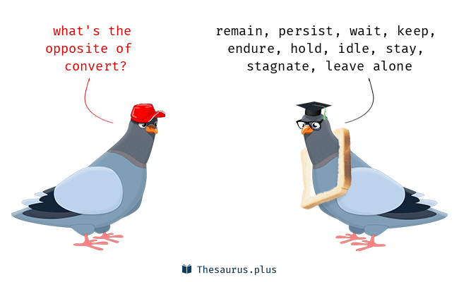 Convert Synonyms and Convert Antonyms. Similar and opposite words for