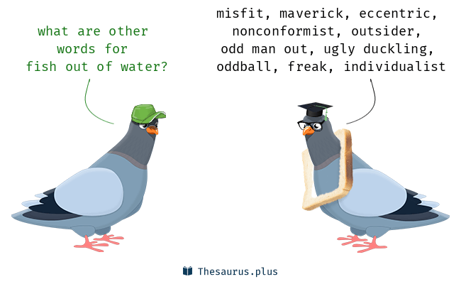 More 60 Fish out of water Synonyms. Similar words for Fish out of water.