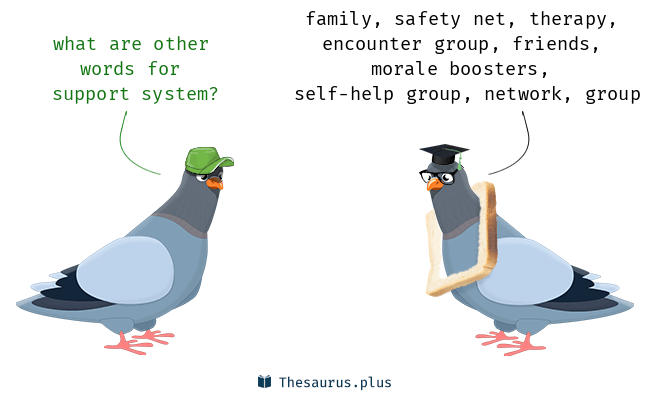 34 Words and Phrases for Provided Support Power.