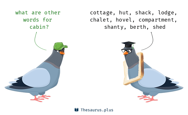 More 300 Cabin Synonyms. Similar Words For Cabin.