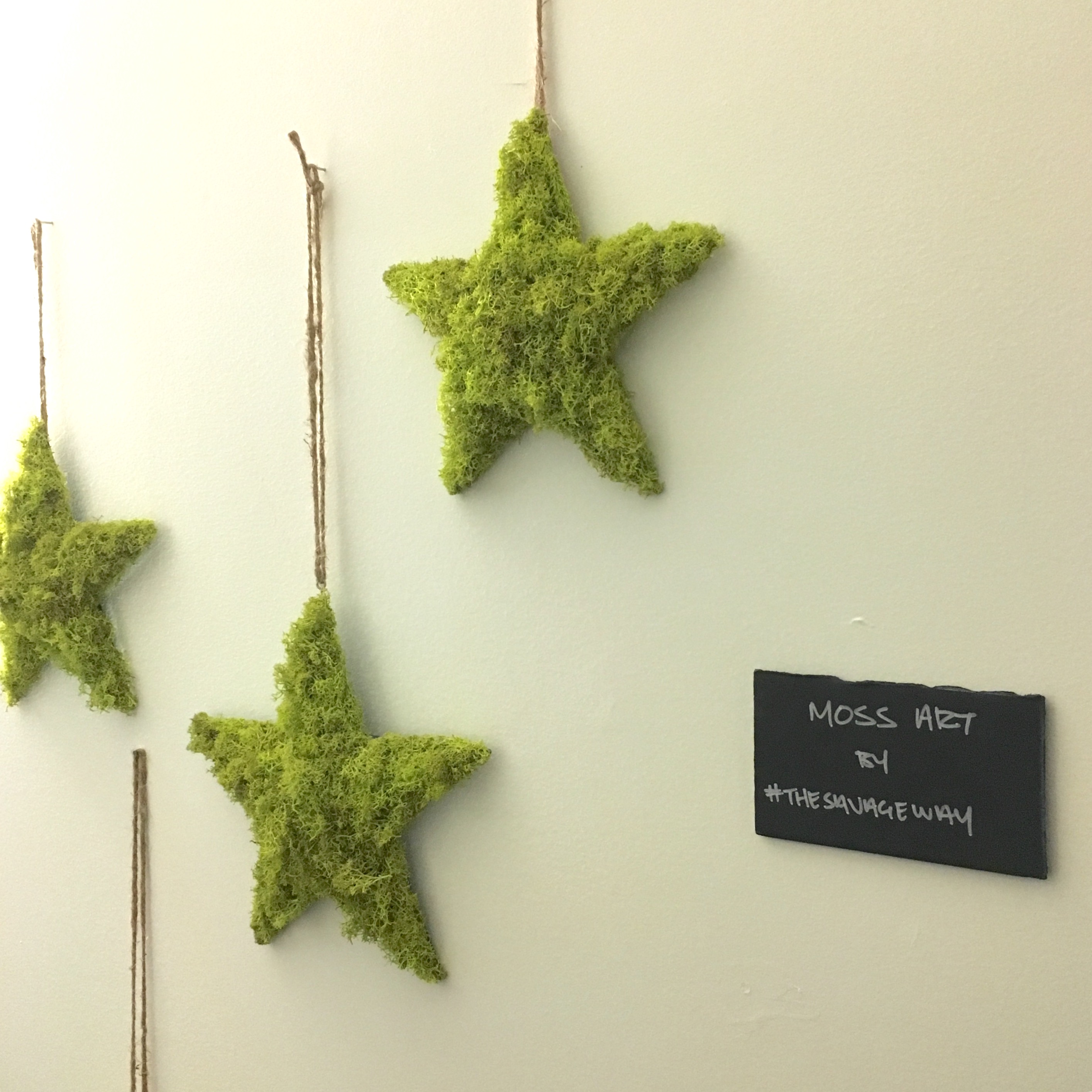 Moss Art in 2015 thesavageway