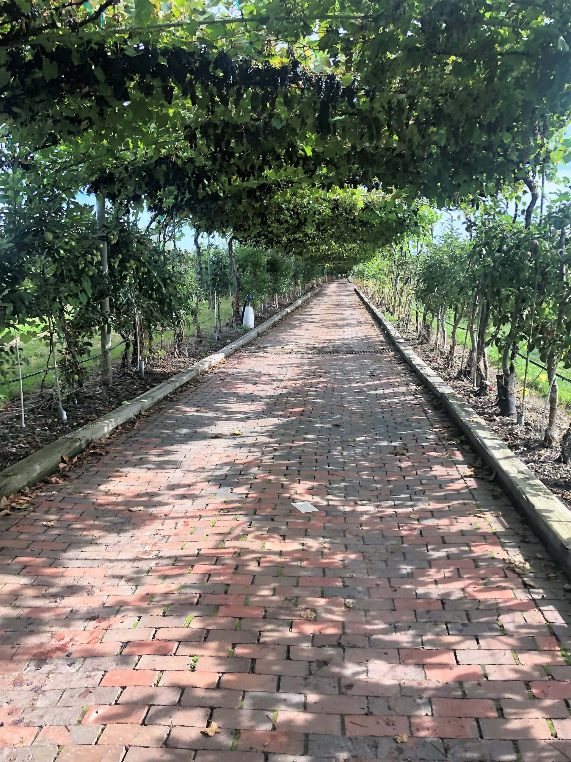 A Trip to Lookout Farm The Savory Cucina